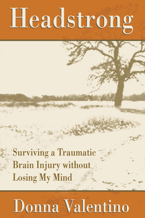 Cover image for book Headstrong