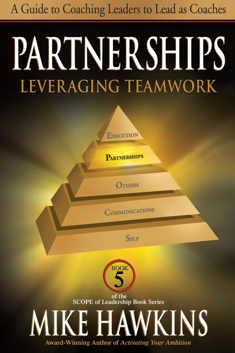 Cover image for book Partnerships