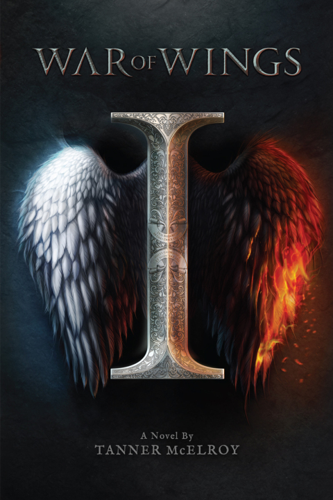 Cover image for book War of Wings