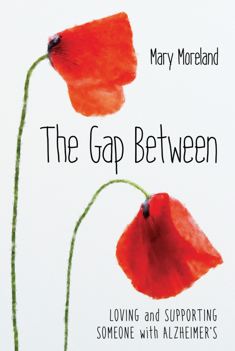 Cover image for book The Gap Between