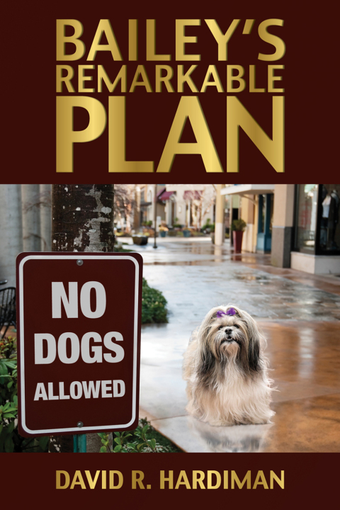 Cover image for book Bailey's Remarkable Plan