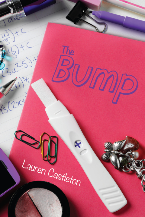 Cover image for book The Bump