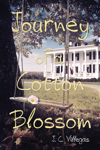 Journey of a Cotton Blossom