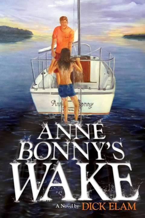 Cover image for book Anne Bonny's Wake