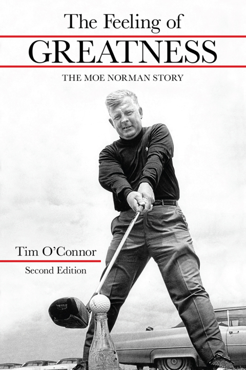 Cover image for book The Feeling of Greatness