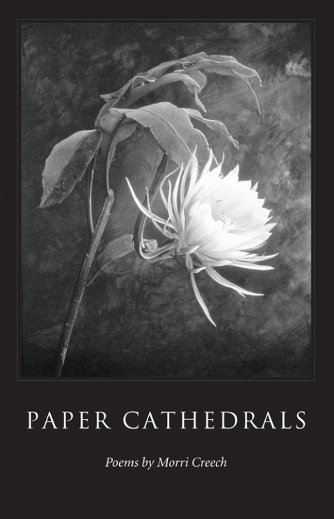 Cover image for book Paper Cathedrals