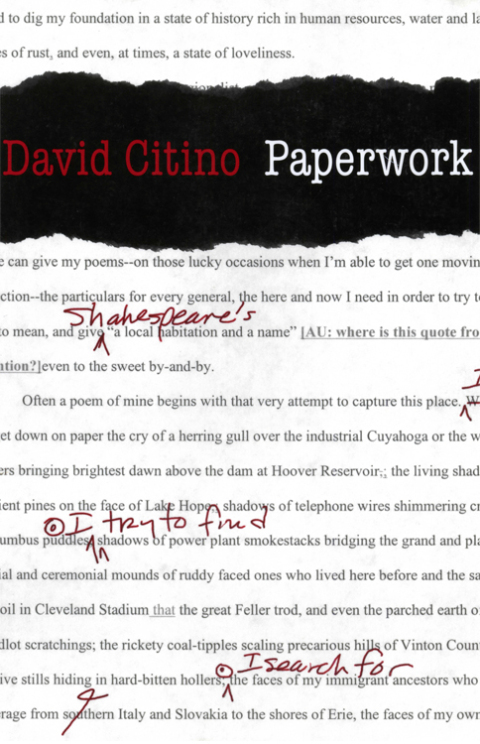 Cover image for book Paperwork