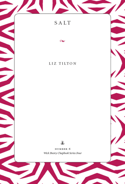 Cover image for book Salt