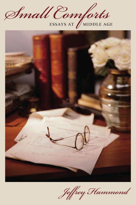 Cover image for book Small Comforts