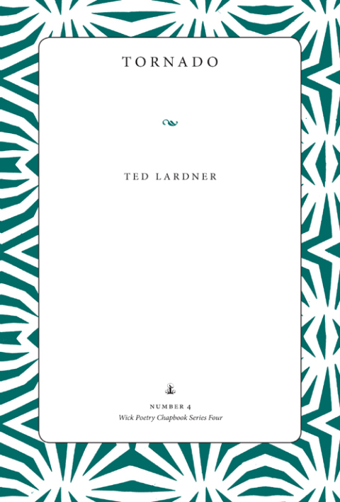 Cover image for book Tornado