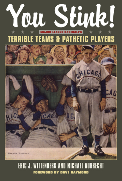 Cover image for book You Stink!