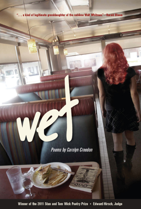 Cover image for book Wet