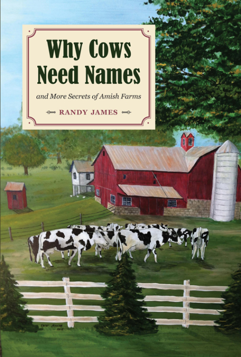 Cover image for book Why Cows Need Names
