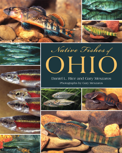 Cover image for book Native Fishes of Ohio