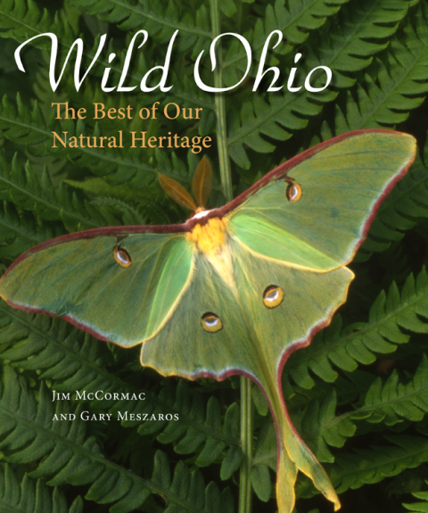 Cover image for book Wild Ohio
