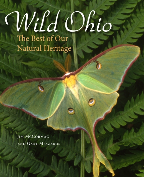 Cover image for book Wild Ohio