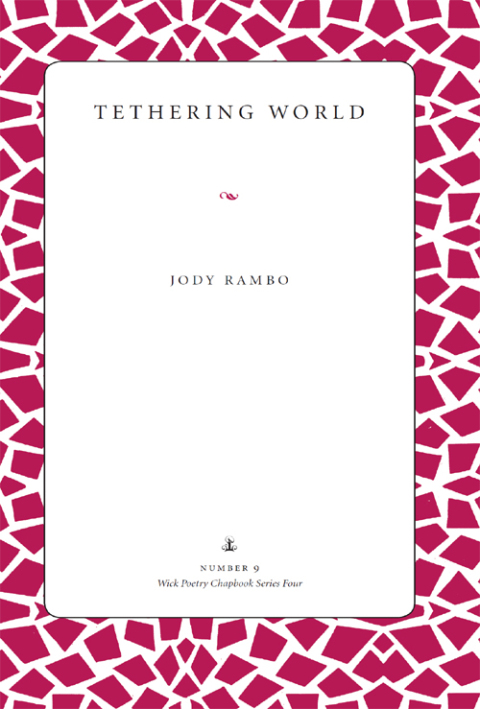 Cover image for book Tethering World