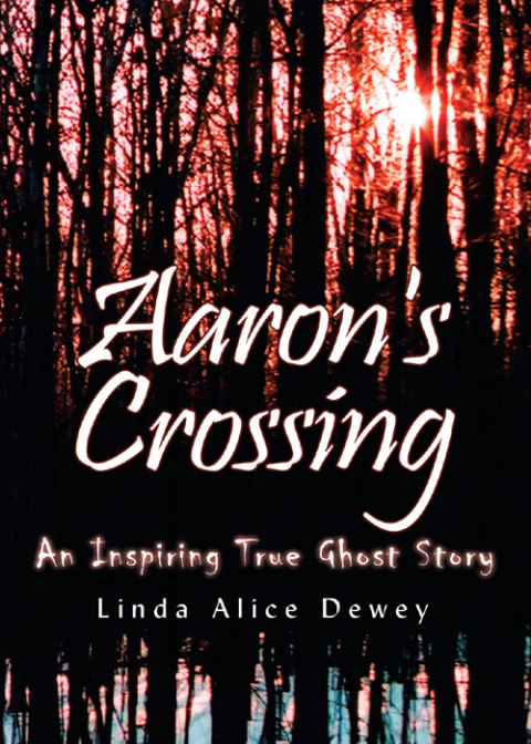 Cover image for book Aaron's Crossing