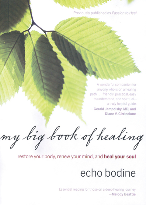 Cover image for book My Big Book of Healing
