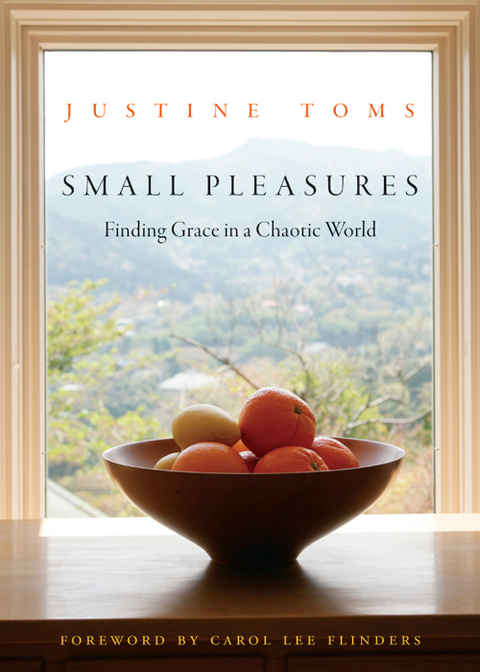 Cover image for book Small Pleasures