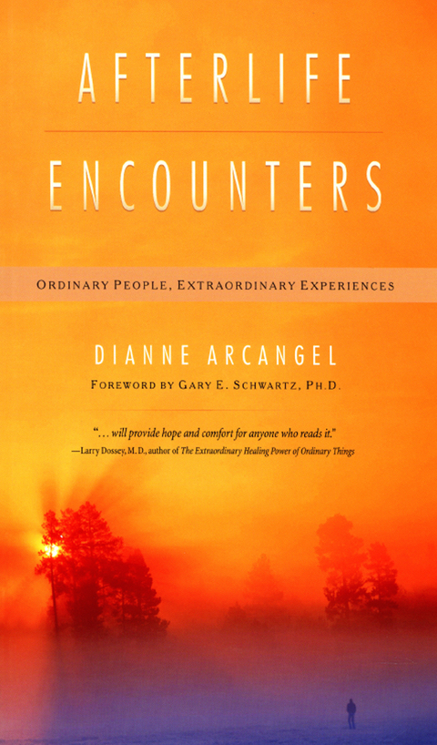 Cover image for book Afterlife Encounters