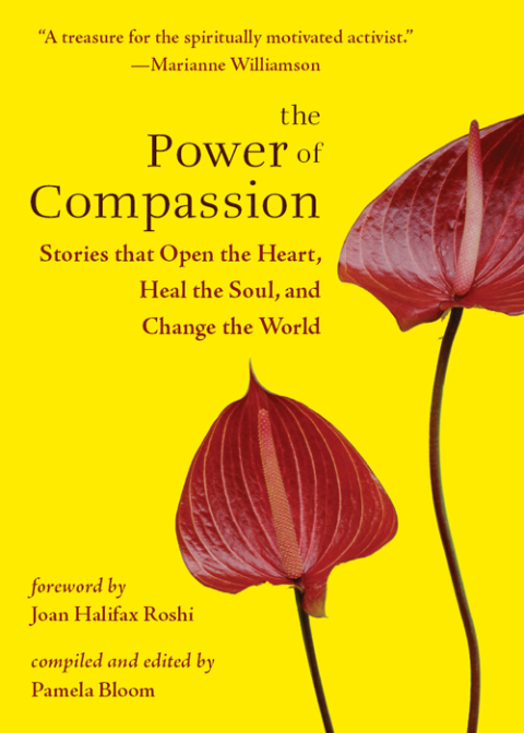 Cover image for book The Power of Compassion