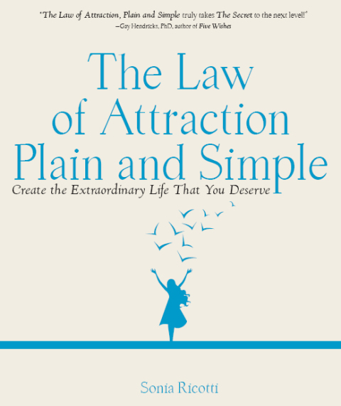 Cover image for book The Law of Attraction: Plain and Simple