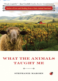 Omslagafbeelding: What the Animals Taught Me 9781571746573