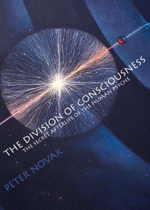 Cover image for book The Division of Consciousness