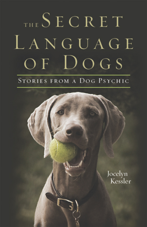 Cover image for book The Secret Language of Dogs