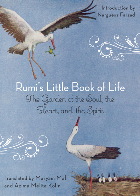 Cover image for book Rumi's Little Book of Life