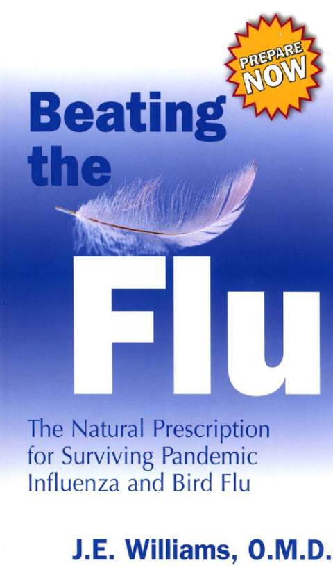 Cover image for book Beating the Flu