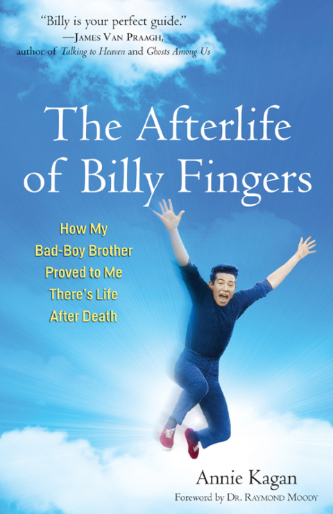 Cover image for book The Afterlife of Billy Fingers
