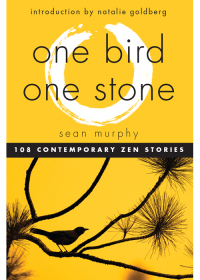 Cover image: One Bird, One Stone 9781571746979