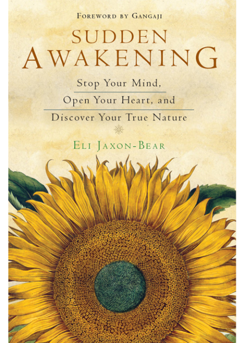 Cover image for book Sudden Awakening