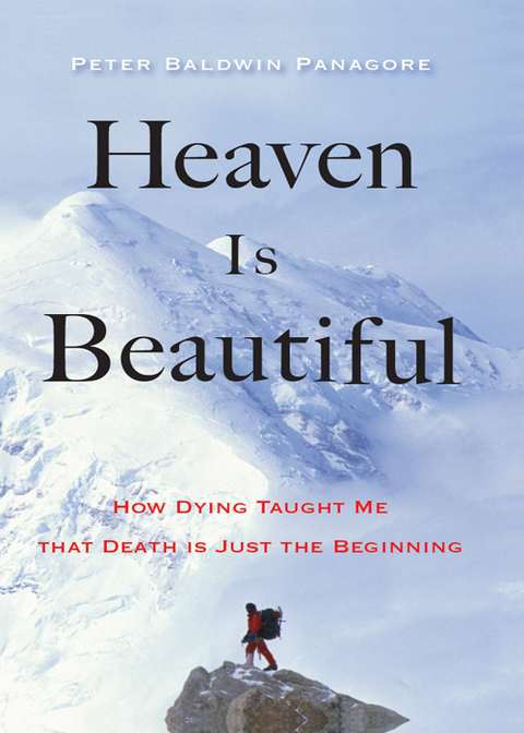 Cover image for book Heaven Is Beautiful