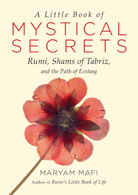 Cover image for book A Little Book of Mystical Secrets