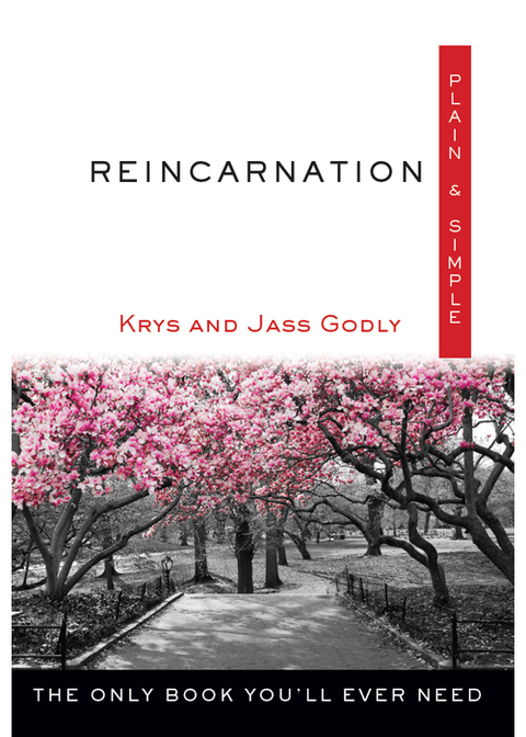 Cover image for book Reincarnation Plain & Simple