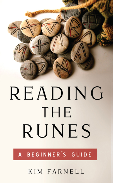 Cover image for book Reading the Runes