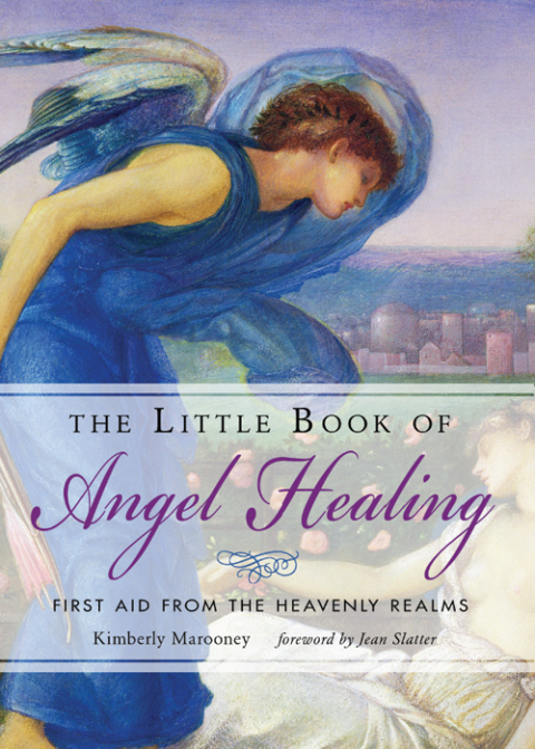 Cover image for book The Little Book of Angel Healing