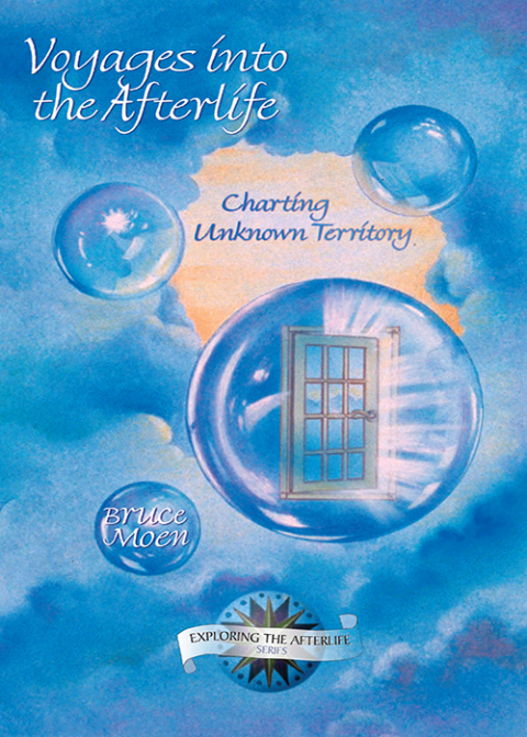Cover image for book Voyages into the Afterlife
