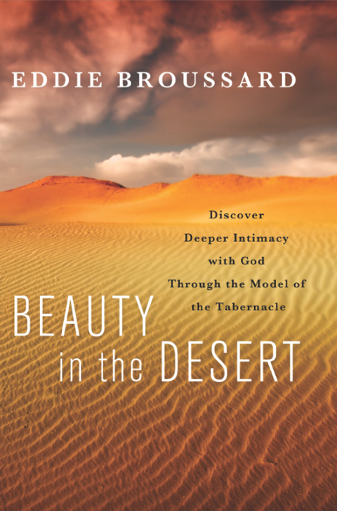 Cover image for book Beauty in the Desert