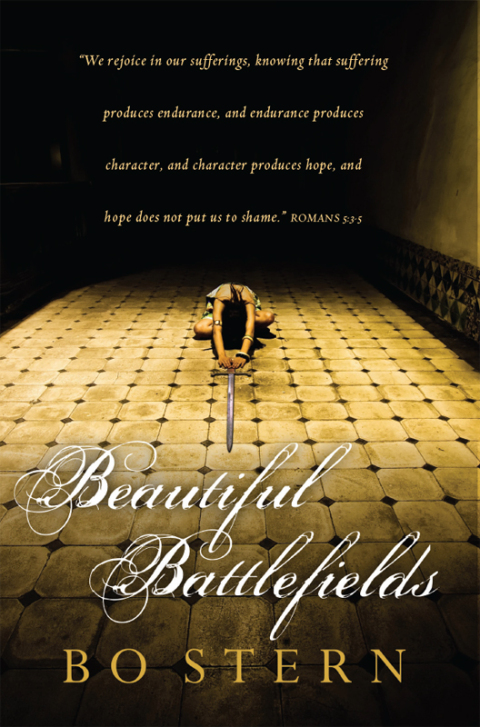 Cover image for book Beautiful Battlefields