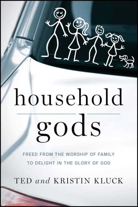 Cover image for book Household Gods