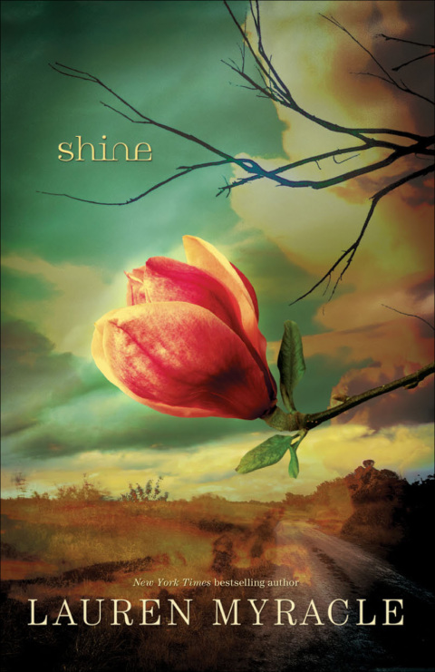Cover image for book Shine
