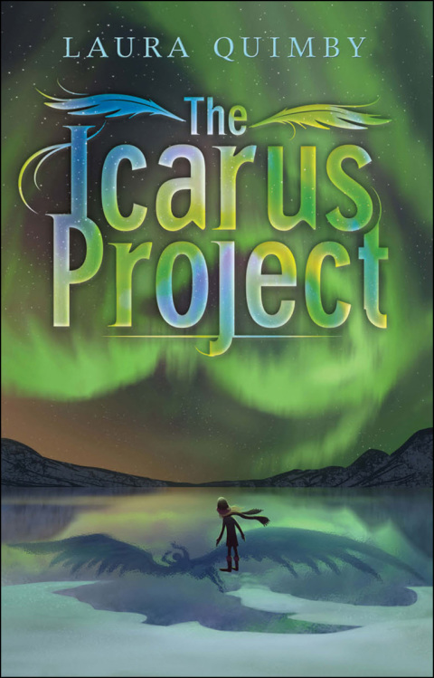 Cover image for book The Icarus Project
