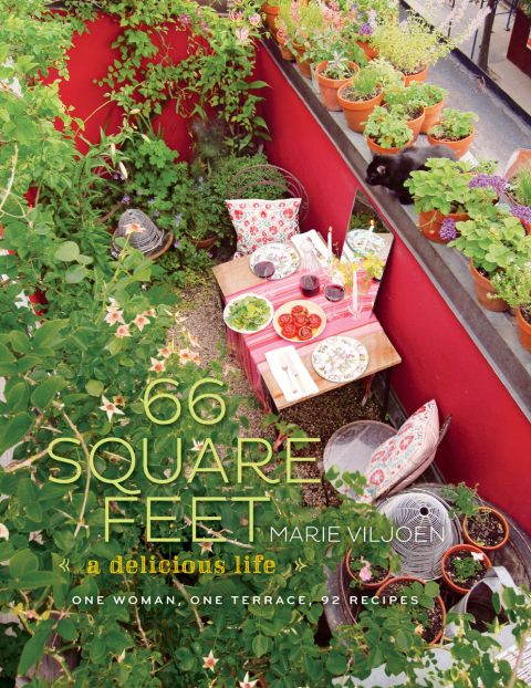 Cover image for book 66 Square Feet