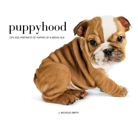 Cover image for book Puppyhood