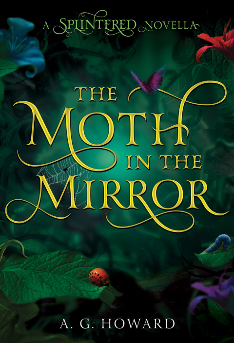 Cover image for book The Moth in the Mirror