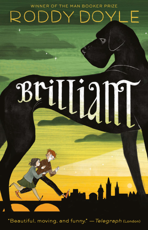 Cover image for book Brilliant